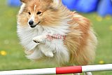 wedstrijd apeldoorn 18-04-2026