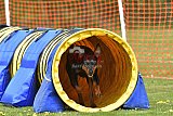 wedstrijd apeldoorn 18-04-2026