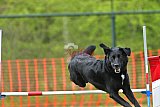 wedstrijd apeldoorn 18-04-2026