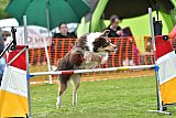 wedstrijd apeldoorn 18-04-2026
