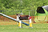 wedstrijd apeldoorn 18-04-2026