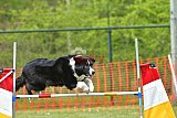 wedstrijd apeldoorn 18-04-2026