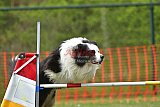wedstrijd apeldoorn 18-04-2026