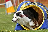 wedstrijd apeldoorn 18-04-2026
