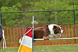 wedstrijd apeldoorn 18-04-2026