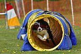 wedstrijd apeldoorn 18-04-2026