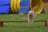 wedstrijd apeldoorn 18-04-2026