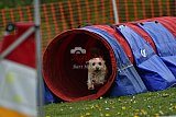 wedstrijd apeldoorn 18-04-2026