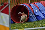 wedstrijd apeldoorn 18-04-2026