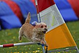 wedstrijd apeldoorn 18-04-2026
