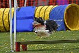 wedstrijd apeldoorn 18-04-2026