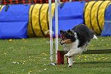 wedstrijd apeldoorn 18-04-2026