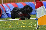 wedstrijd apeldoorn 18-04-2026