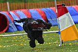 wedstrijd apeldoorn 18-04-2026