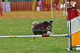 wedstrijd apeldoorn 18-04-2026