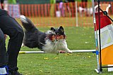 wedstrijd apeldoorn 18-04-2026