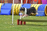 wedstrijd apeldoorn 18-04-2026