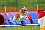 wedstrijd apeldoorn 18-04-2026