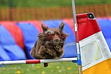 wedstrijd apeldoorn 18-04-2026