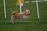 wedstrijd apeldoorn 18-04-2026