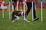 wedstrijd apeldoorn 18-04-2026