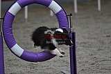 winterwedstrijd Agility Friends het keelven23-11-2025