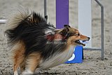 winterwedstrijd Agility Friends het keelven23-11-2025