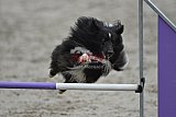 winterwedstrijd Agility Friends het keelven23-11-2025