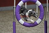 winterwedstrijd Agility Friends het keelven23-11-2025