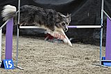 winterwedstrijd Agility Friends het keelven23-11-2025