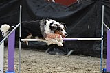 winterwedstrijd Agility Friends het keelven23-11-2025