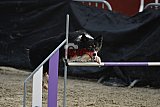 winterwedstrijd Agility Friends het keelven23-11-2025