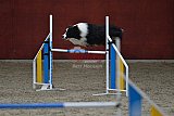 winterwedstrijd Agility Friends het keelven23-11-2025