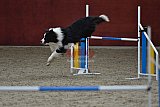 winterwedstrijd Agility Friends het keelven23-11-2025