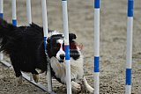 winterwedstrijd Agility Friends het keelven23-11-2025