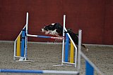 winterwedstrijd Agility Friends het keelven23-11-2025