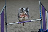 winterwedstrijd Agility Friends het keelven23-11-2025